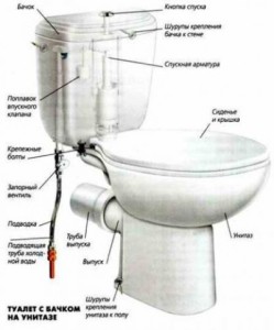 Конструкция унитаза